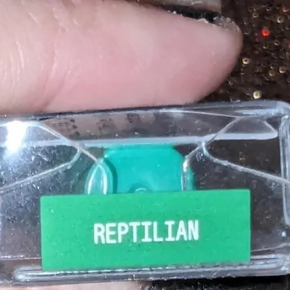 Reptilian‎ about-face Line Artist high-definition gel eyeliner NIB
